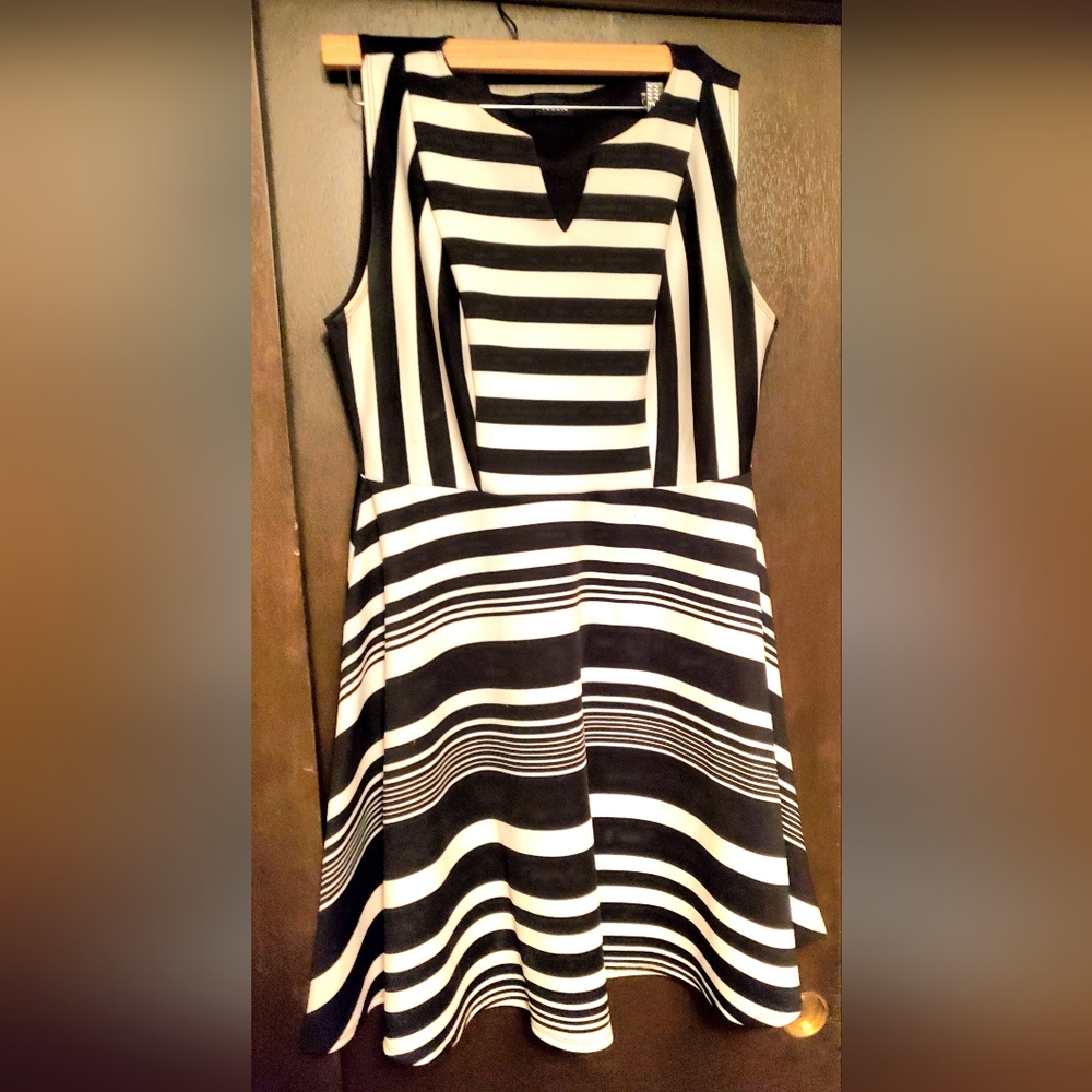 Torrid skater dress